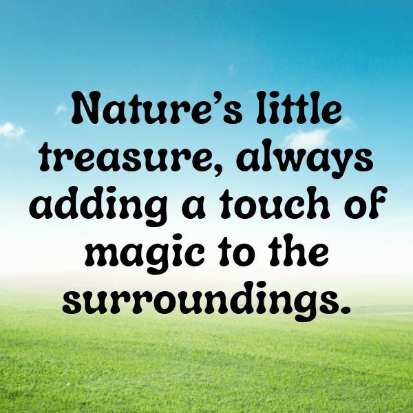 Chipmunk Captions Image For Instagram-tI0Fk2