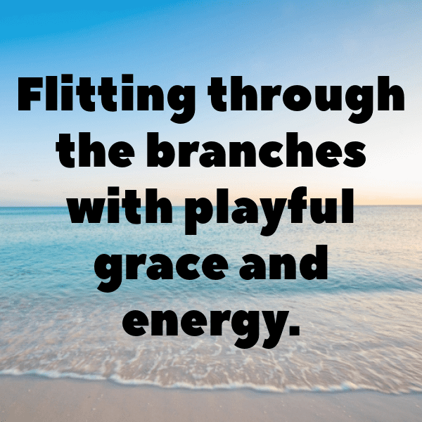 Chipmunk Captions Image For Instagram-WN8dWk