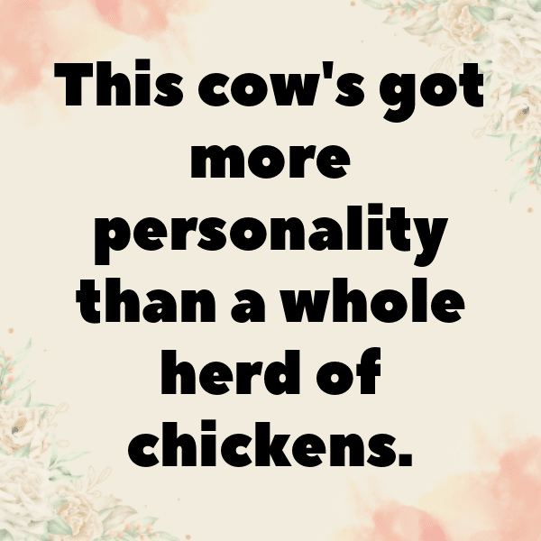 Chipmunk Captions Photo For Instagram-3XdXeU