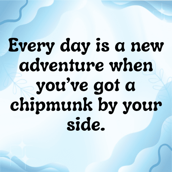 Chipmunk Captions Photo For Instagram-4sJdXj