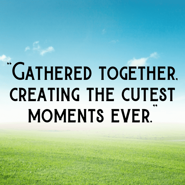 Chipmunk Captions Photo For Instagram-7hYqh7