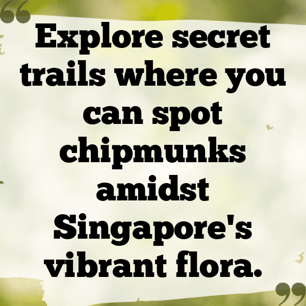 Chipmunk Captions Photo For Instagram-A9XASh