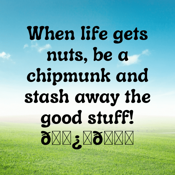 Chipmunk Captions Photo For Instagram-ACOmTw