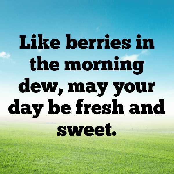 Chokeberry Captions Photo For Instagram-2hioae