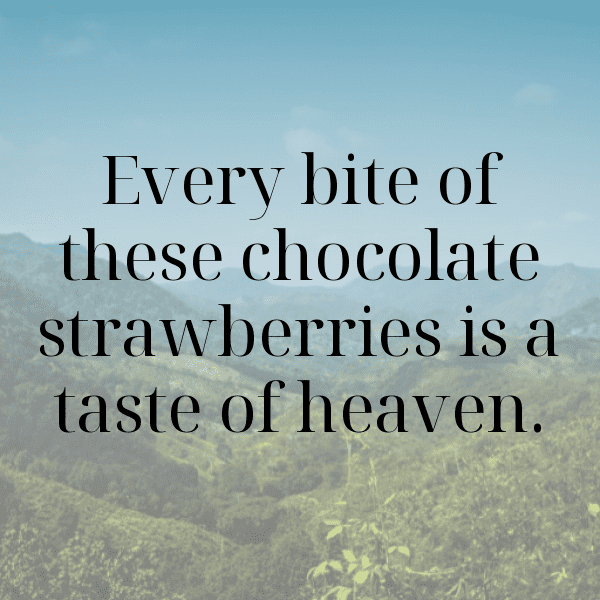 Chokeberry Captions Photo For Instagram-NaeIed