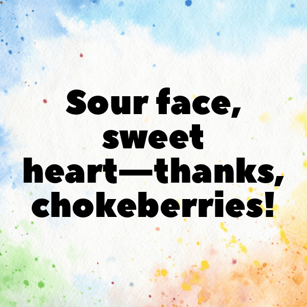 Chokeberry Captions Photo For Instagram-uHg2tt