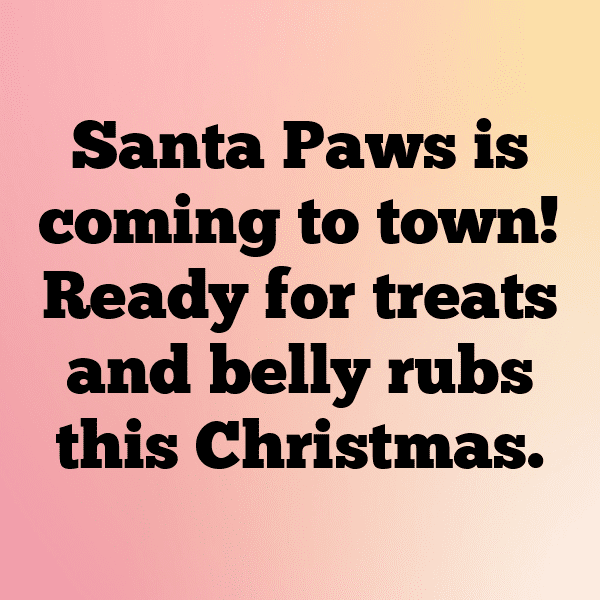 Christmas Captions Image for Instagram-UVPvhA