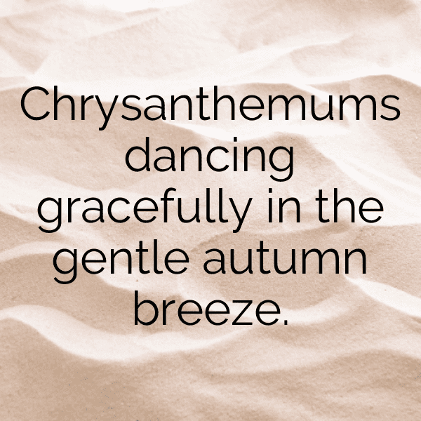 Chrysanthemum Captions Image For Instagram-GqFiCh