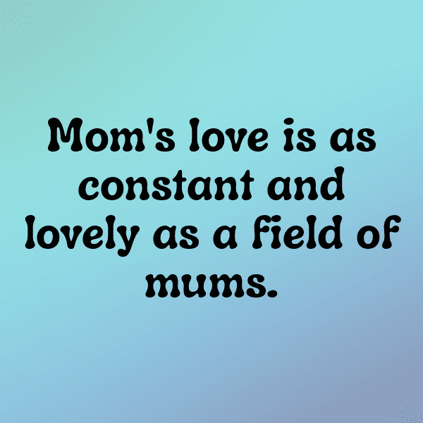 Chrysanthemum Captions Image For Instagram-jqP260