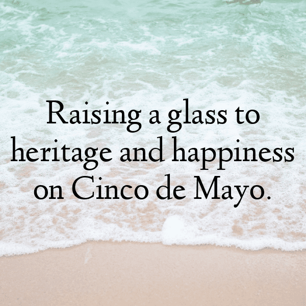 Cinco de Mayo Captions Image for Instagram-b2FG7n