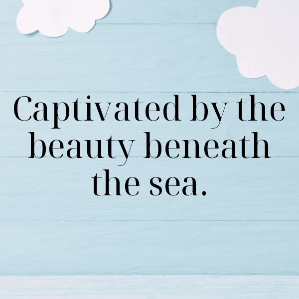 Clam Captions Photo For Instagram-wWnXUY