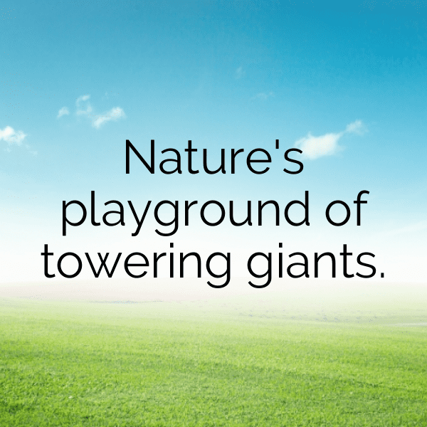 Cliffside View Captions Image for Instagram-aE7fJT