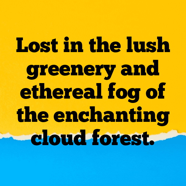 Cliffside View Captions Image for Instagram-JOeqUv