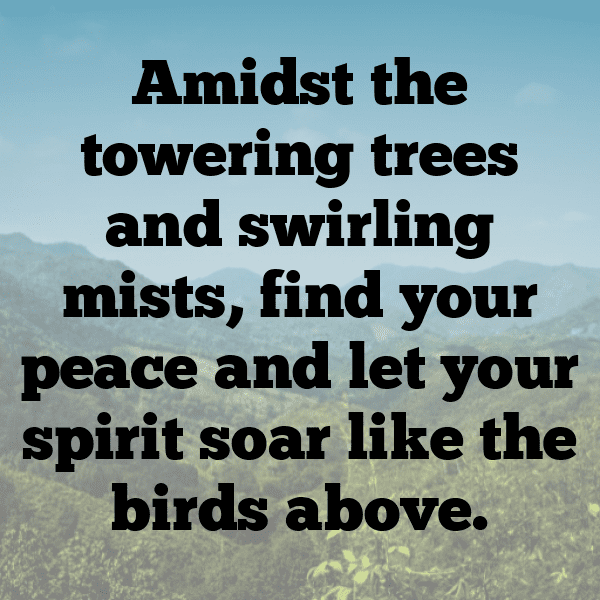 Cloud Watching Captions Photo for Instagram-zr0I2s