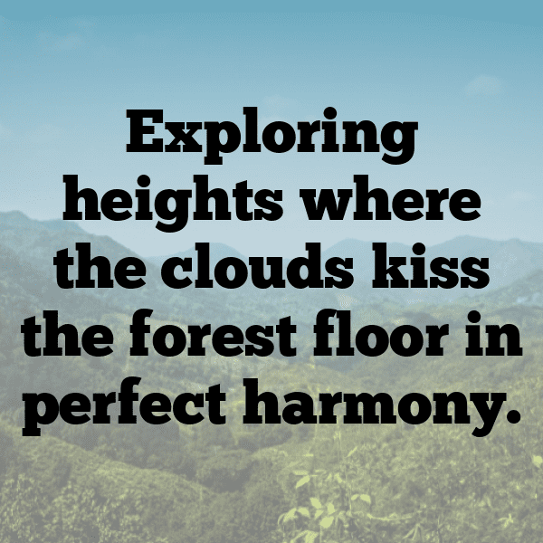 Cloudberry Captions Image For Instagram-zzvCZZ