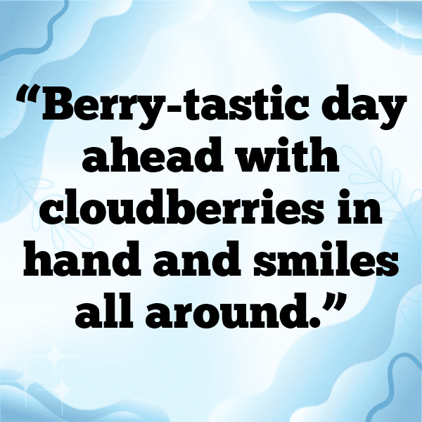 Cloudberry Captions Photo For Instagram-3jhkWc