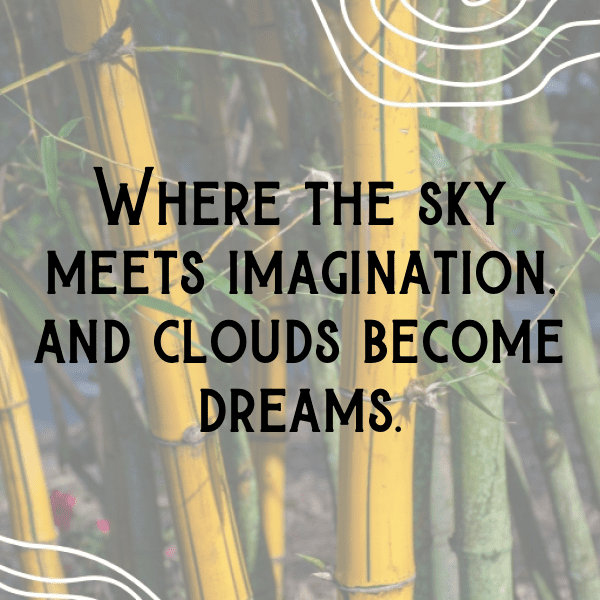 Cloudberry Captions Photo For Instagram-Ihlser