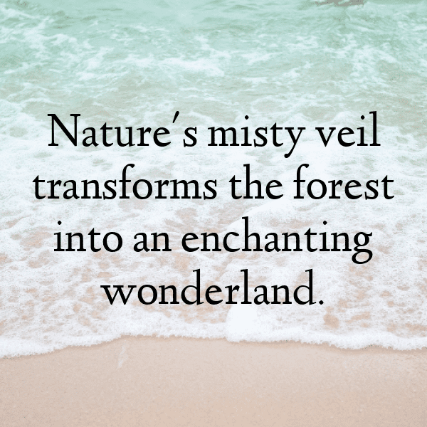 Cloudberry Captions Photo For Instagram-WPCYnc