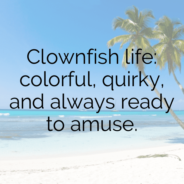 Clownfish Captions Photo For Instagram-jAaKML