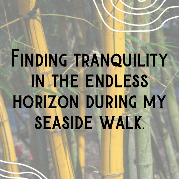 Coastal Walk Captions Image for Instagram-wsZ3uD