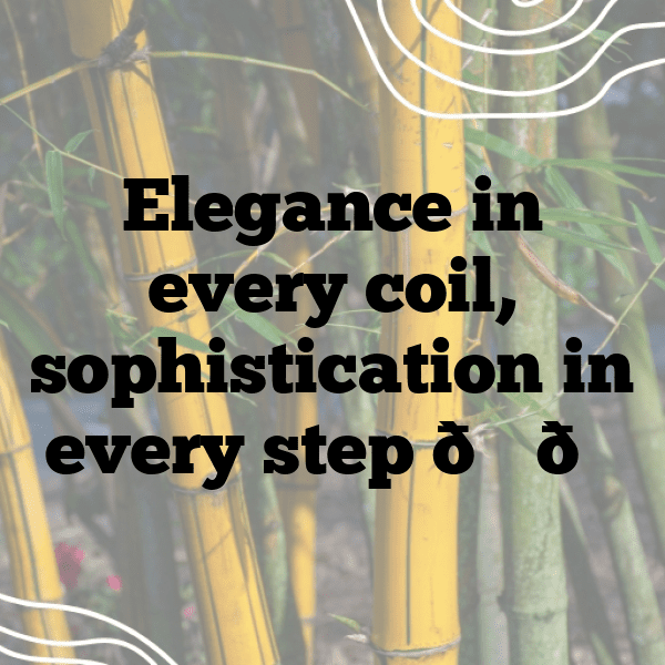 Cobra Captions Image For Instagram-no6o3S