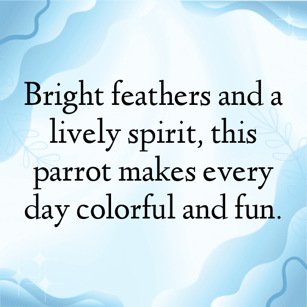 Cockatoo Captions Image For Instagram-Rh8tEH