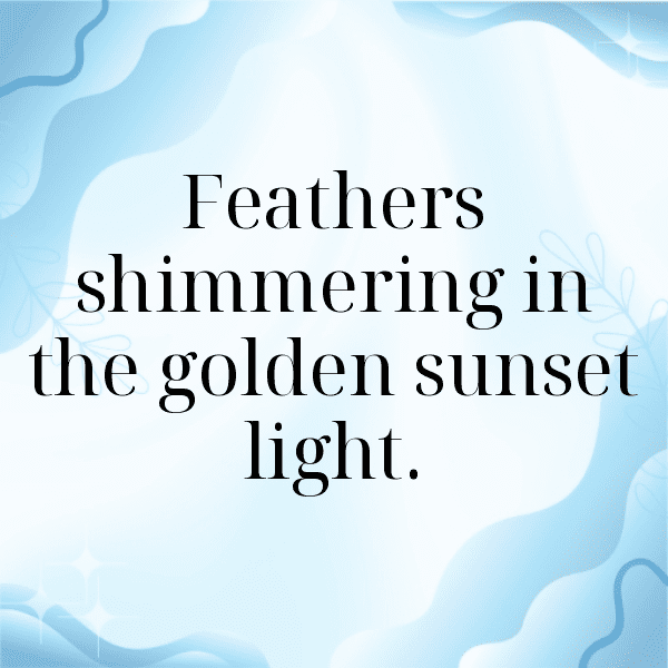 Cockatoo Captions Image For Instagram-tCAtWD