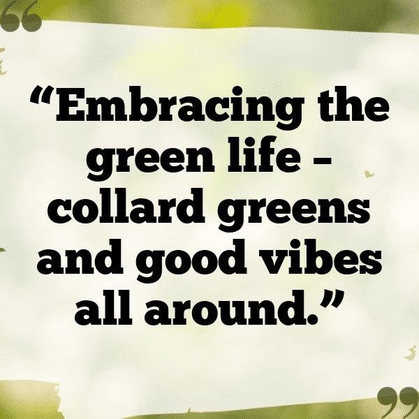 Collard Greens Captions Photo For Instagram-MhqeQf