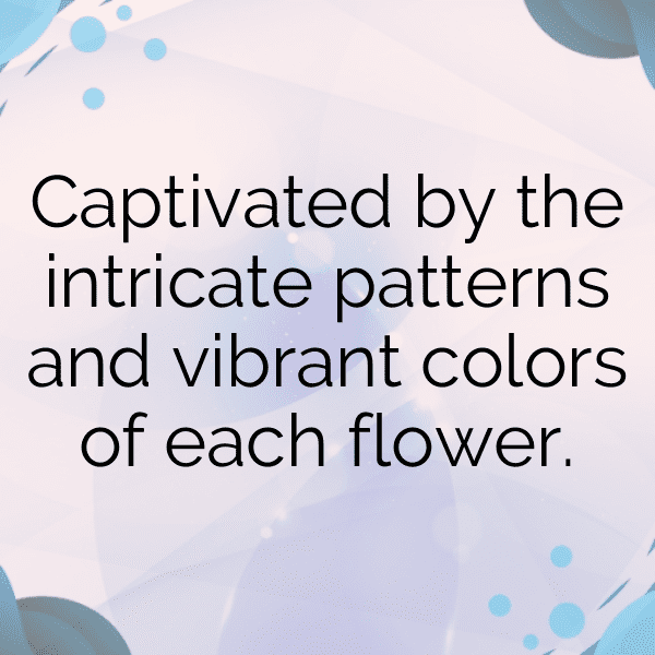 Coneflower Captions Image For Instagram-OQKHkt