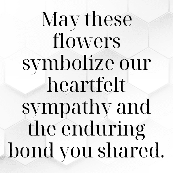 Coneflower Captions Image For Instagram-QqaMGw