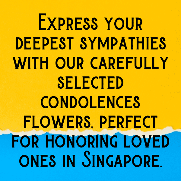 Coneflower Captions Photo For Instagram-AiEF26