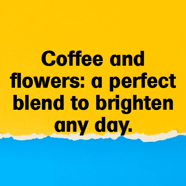 Coneflower Captions Photo For Instagram-lqMRi0