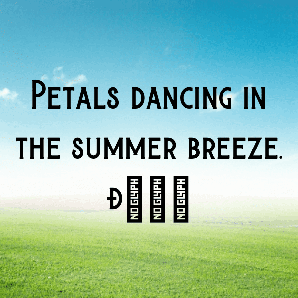 Coneflower Captions Photo For Instagram-pgcVDT