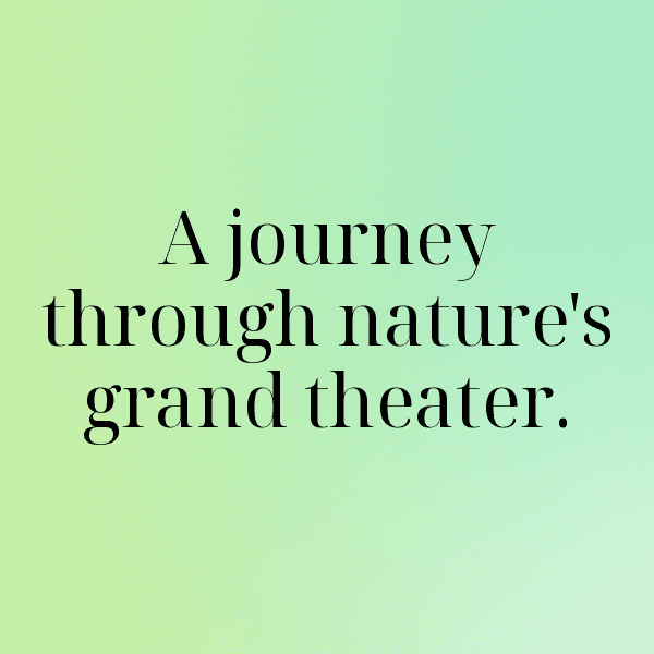 Congo, Republic of the Captions Photo For Instagram-05BzeM