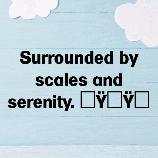 Coral Reef Captions Image for Instagram-gQuuH7