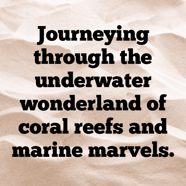 Coral Reef Captions Photo for Instagram-cBFWjK