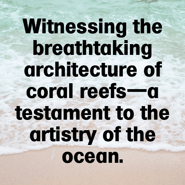 Coral Reef Captions Photo for Instagram-HSsR7q