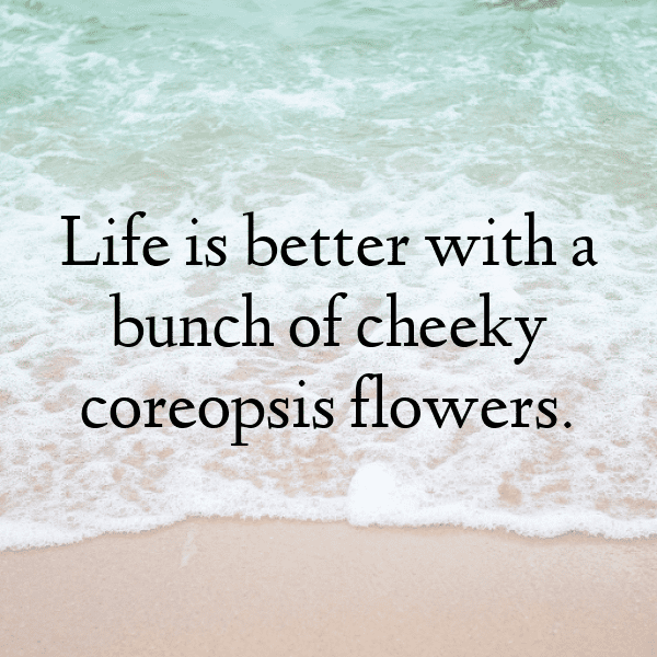 Coreopsis Captions Photo For Instagram-pM7btg