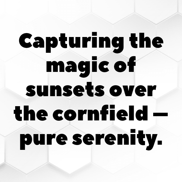 Corn Captions Image For Instagram-CmnhQu