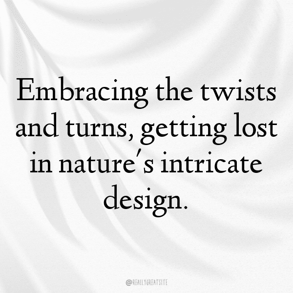 Corn Captions Image For Instagram-fceAMc