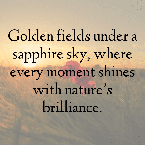 Corn Captions Image For Instagram-zLhVo5