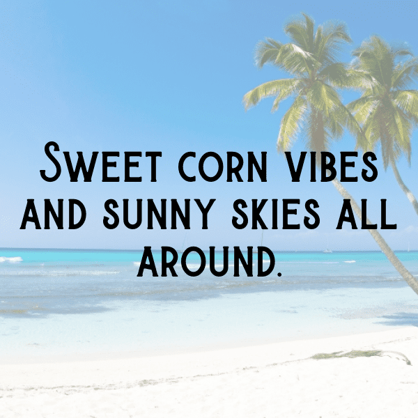 Corn Captions Photo For Instagram-2o3H7I