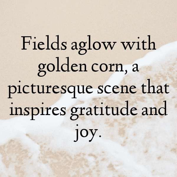 Corn Captions Photo For Instagram-BDY9NR