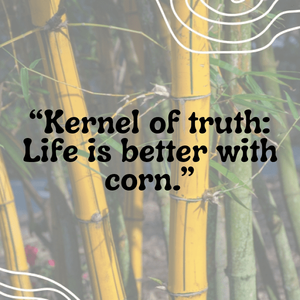 Corn Captions Photo For Instagram-PU4fn2