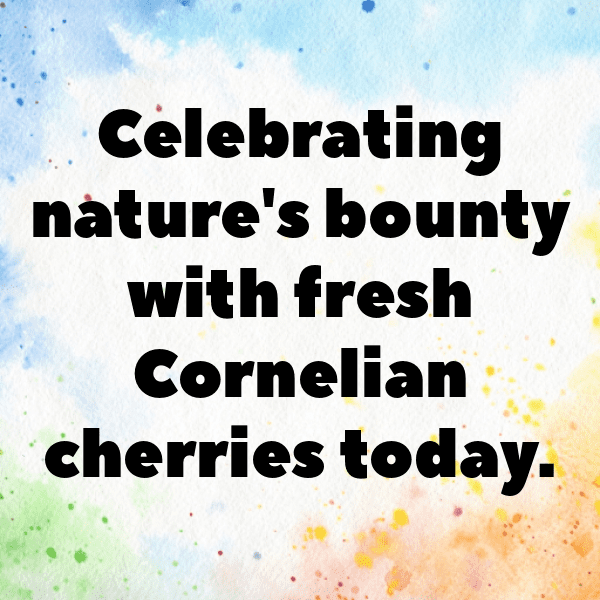 Cornelian Cherry Captions Image For Instagram-7p7qF9