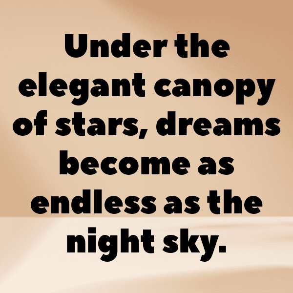 Cosmos Captions Photo For Instagram-TIzsen