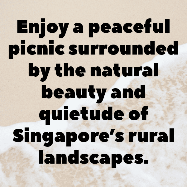 Countryside Captions Image for Instagram-boUyP3