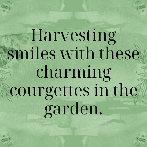 Courgette Captions Photo For Instagram-kqWssr