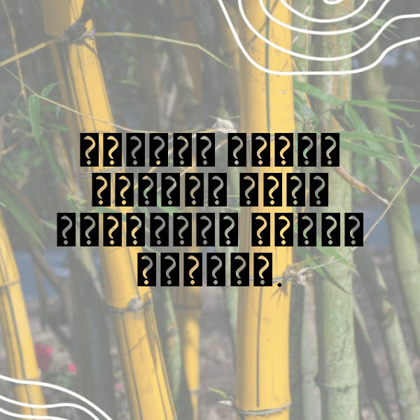 Cow Captions Image For Instagram-9Z6HIl