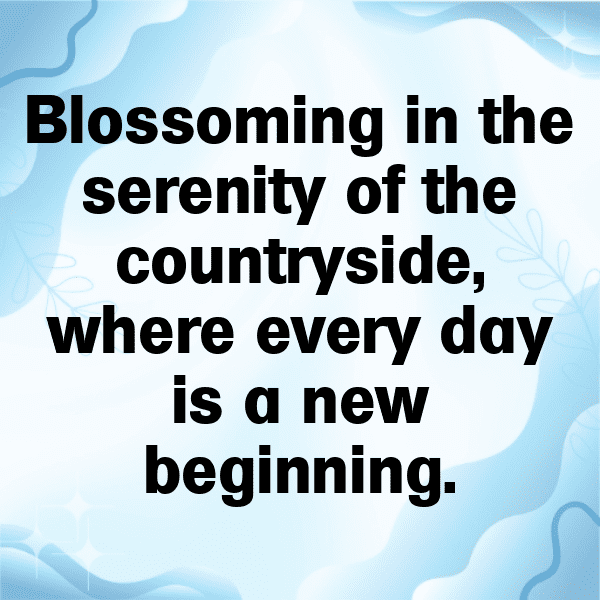 Cow Captions Image For Instagram-TWdwA8